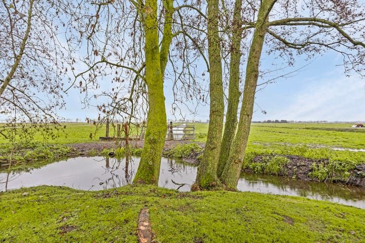 Foto 41 van Middelie 82