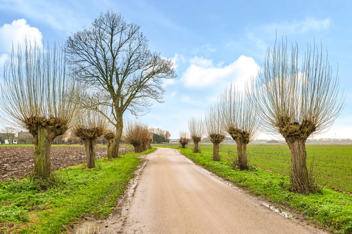 Foto 83 van Slopsestraat 1