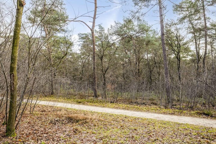 Photo 21 of Vijverlaan 1-Y8