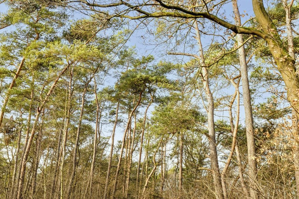 Photo 27 of Vijverlaan 1-Y8