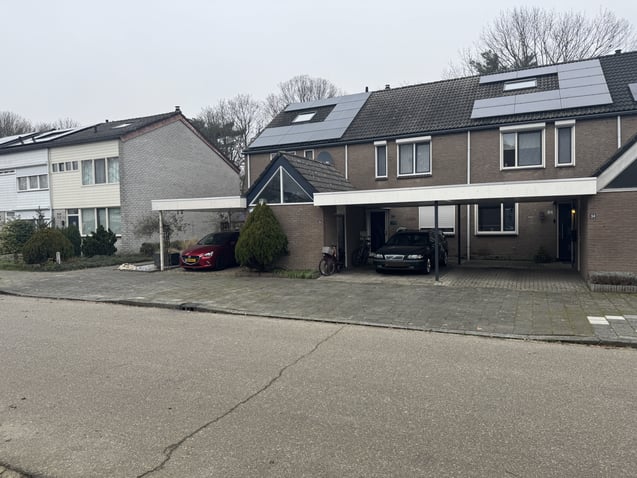 undefined main image