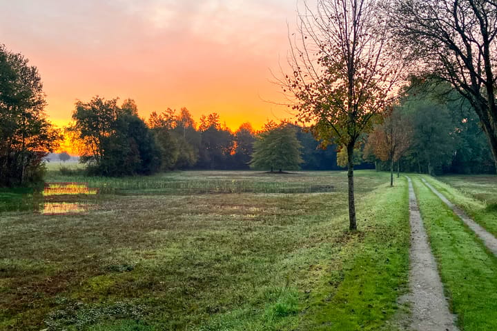 Photo 55 of Bolmansdijk OZ 3