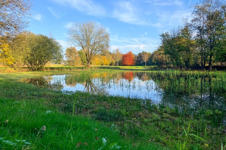 Photo 56 of Bolmansdijk OZ 3