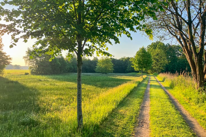 Photo 57 of Bolmansdijk OZ 3