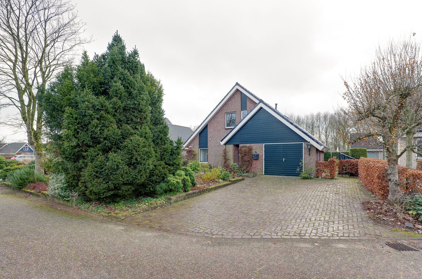 Foto 1 van Pinksterbloem 36