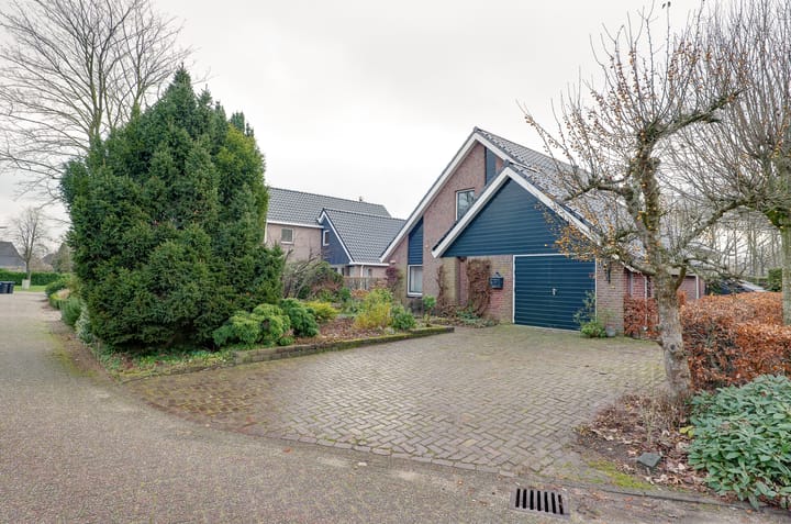 Foto 2 van Pinksterbloem 36