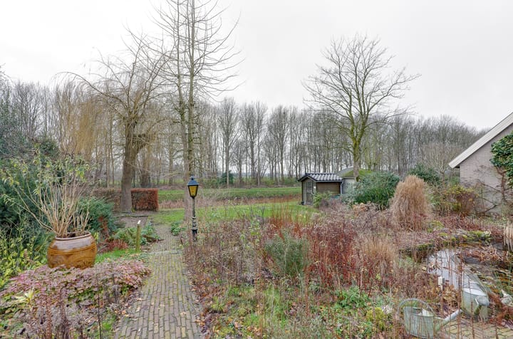 Foto 4 van Pinksterbloem 36