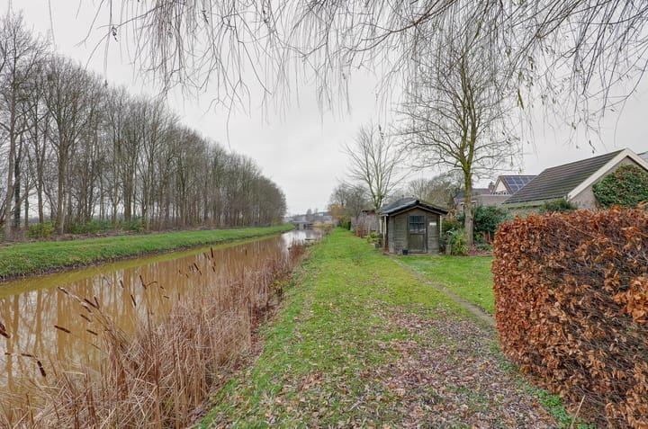 Foto 5 van Pinksterbloem 36