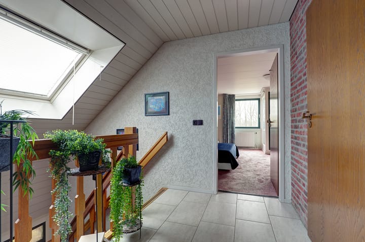 Foto 28 van Pinksterbloem 36