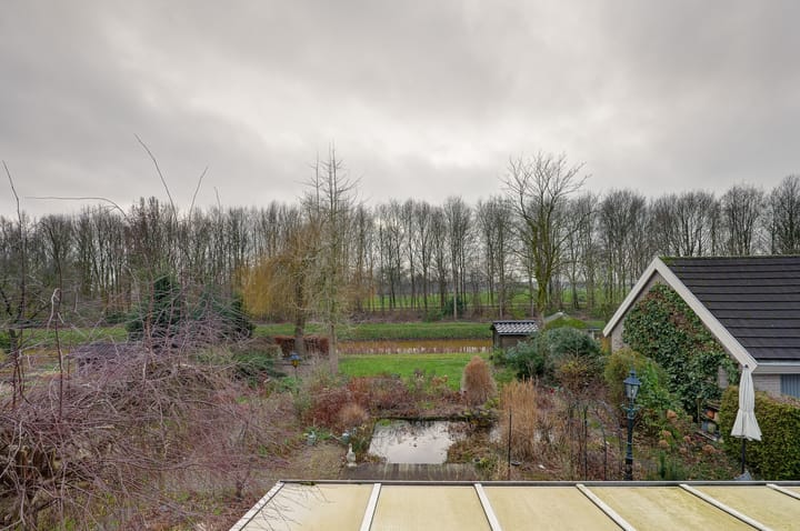 Foto 33 van Pinksterbloem 36