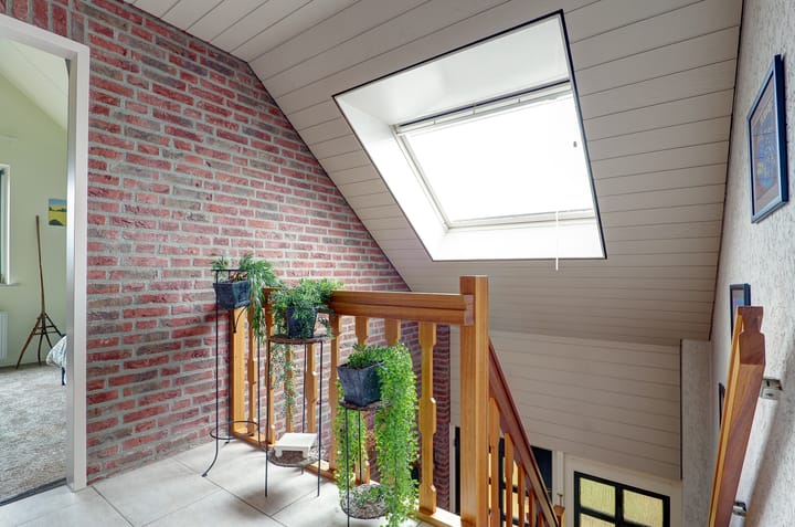 Foto 34 van Pinksterbloem 36