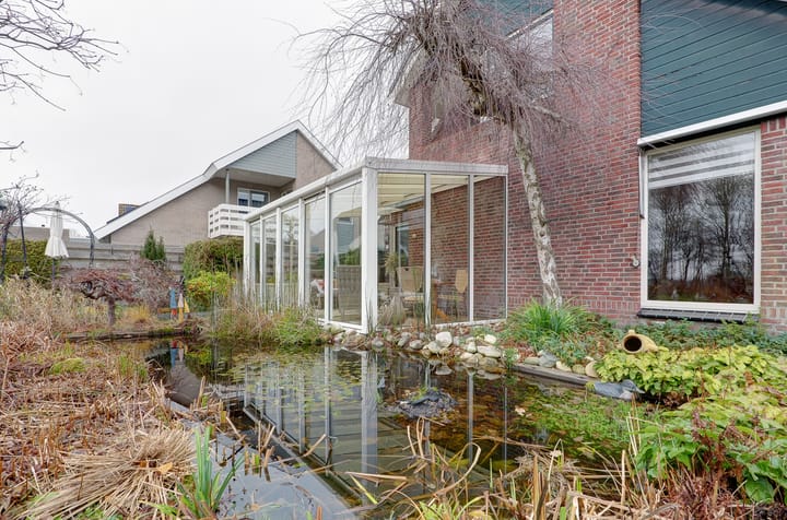 Foto 42 van Pinksterbloem 36