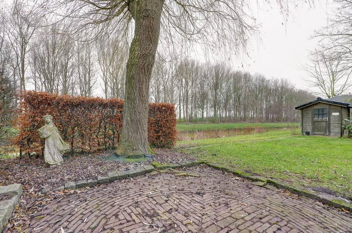 Foto 43 van Pinksterbloem 36