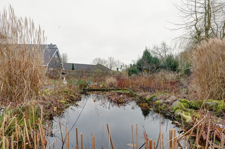 Foto 46 van Pinksterbloem 36