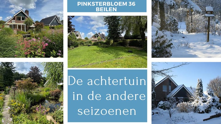 Foto 47 van Pinksterbloem 36