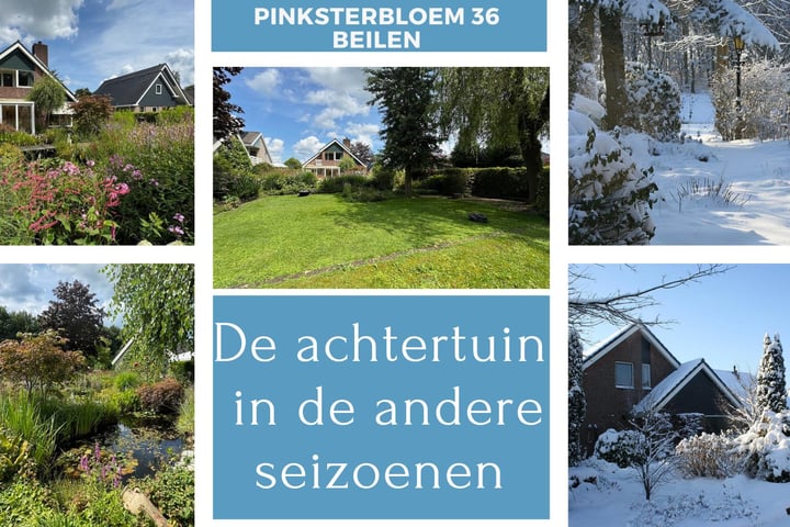 View photo 47 of Pinksterbloem 36