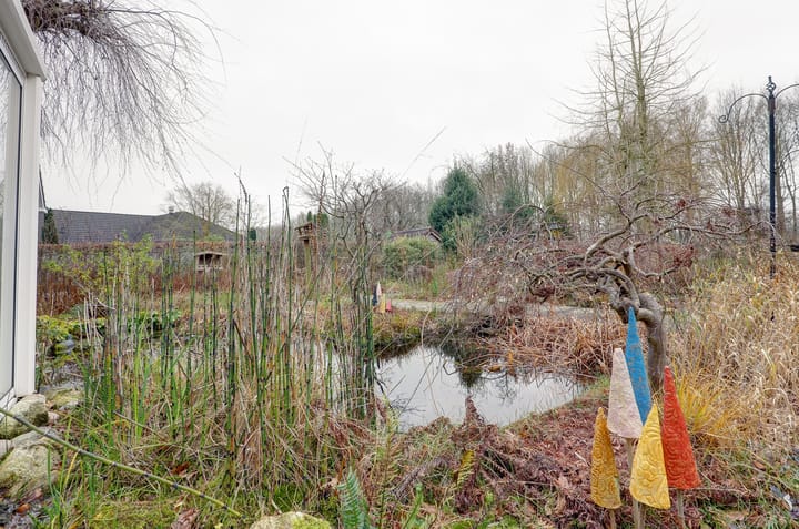 Foto 48 van Pinksterbloem 36