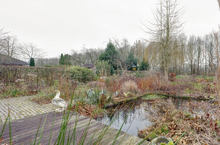 Foto 49 van Pinksterbloem 36