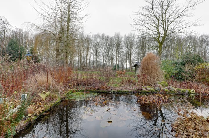 Foto 51 van Pinksterbloem 36