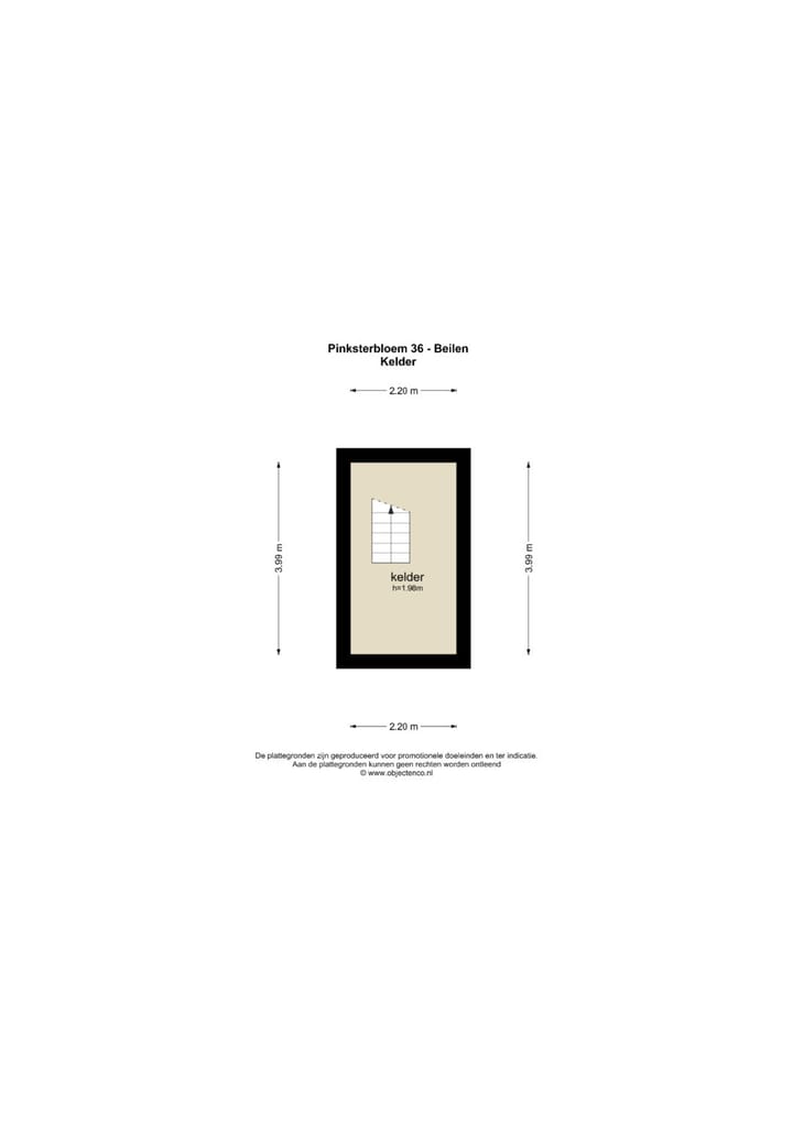 Foto 59 van Pinksterbloem 36