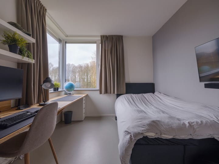 Photo 30 of Jelle Plantingstraat 46