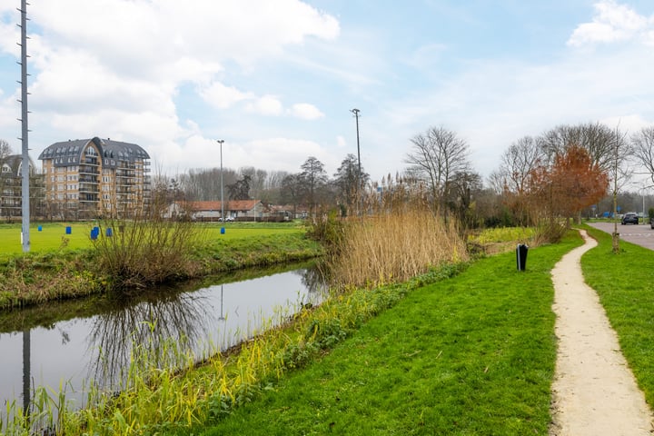 Bekijk foto 45 van Nicolaas Maeskade 19