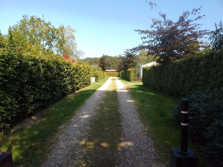 Foto 12 van Haspel 97-9