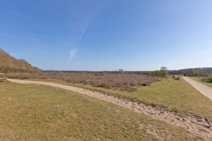 Photo 24 of C. Evertsenstraat 99