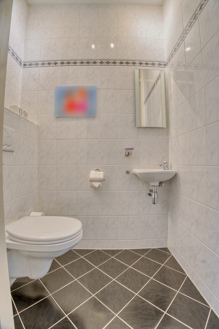 Foto 21 van Meerkoetstraat 65