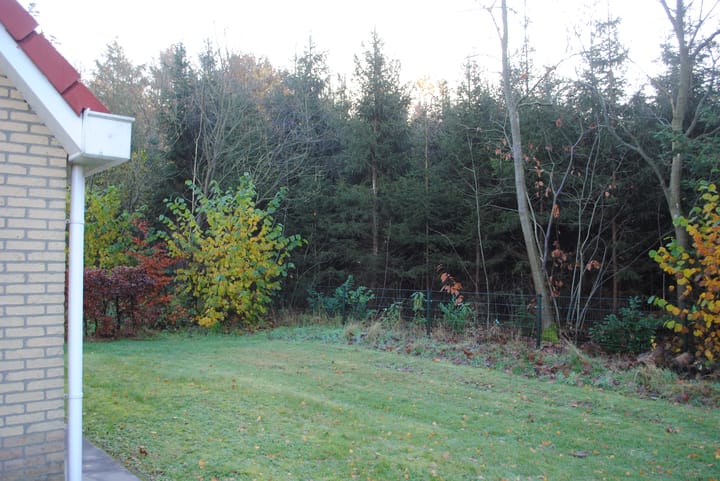 Photo 4 of Bruine Hoopsweg 6-AZ206