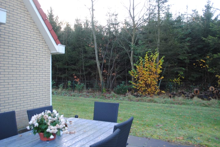 Photo 5 of Bruine Hoopsweg 6-AZ206