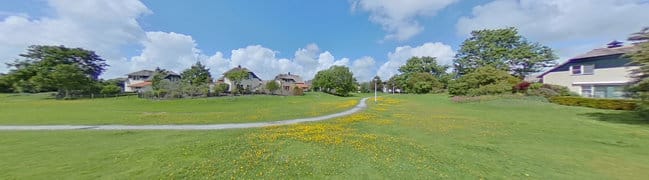 Achtertuin