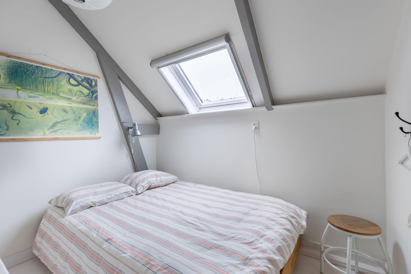 Foto 44 van Goaijengeamieden 5