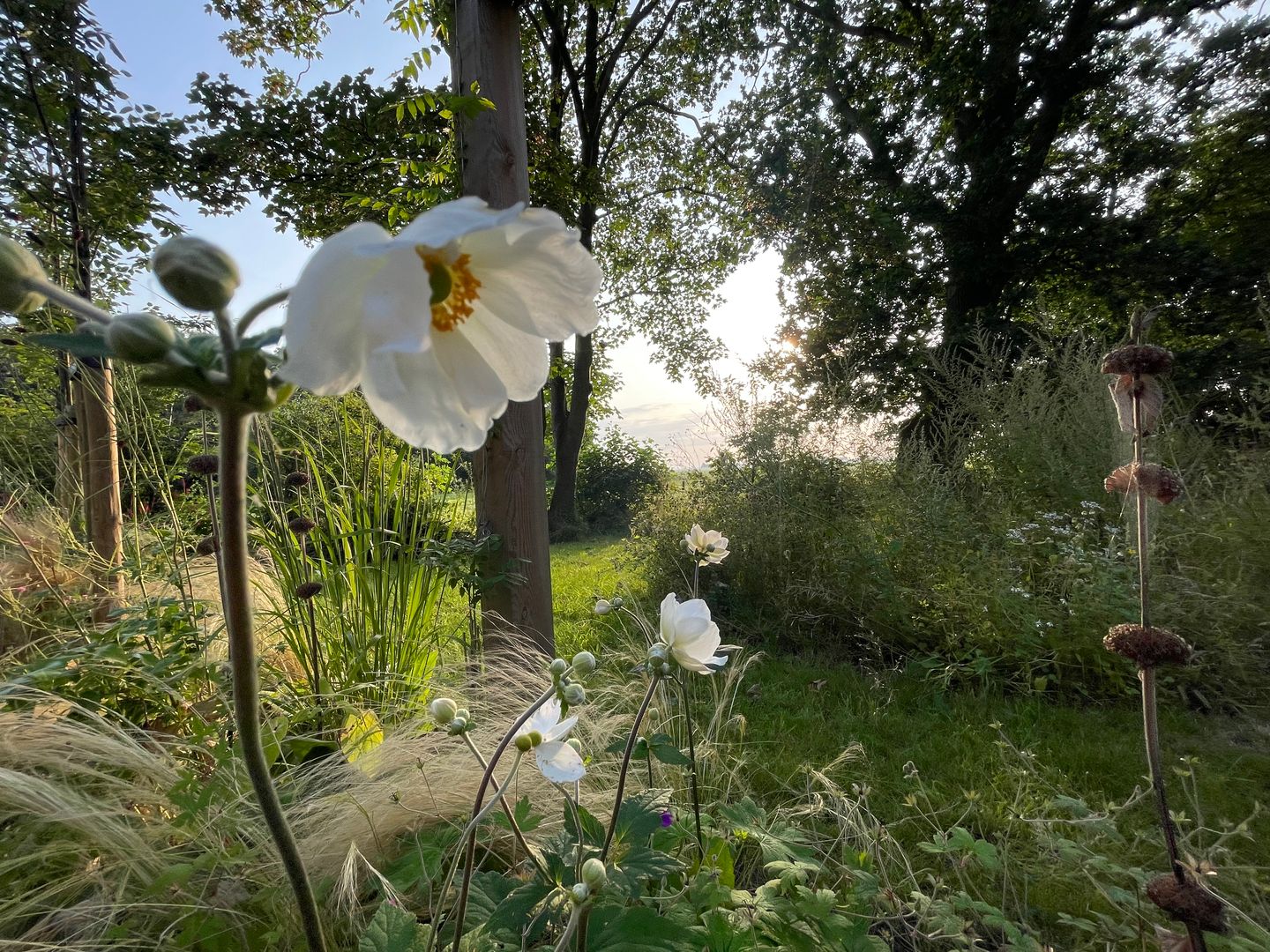 Foto 55 van Goaijengeamieden 5