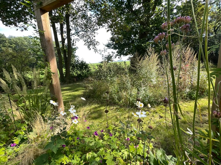 Foto 56 van Goaijengeamieden 5