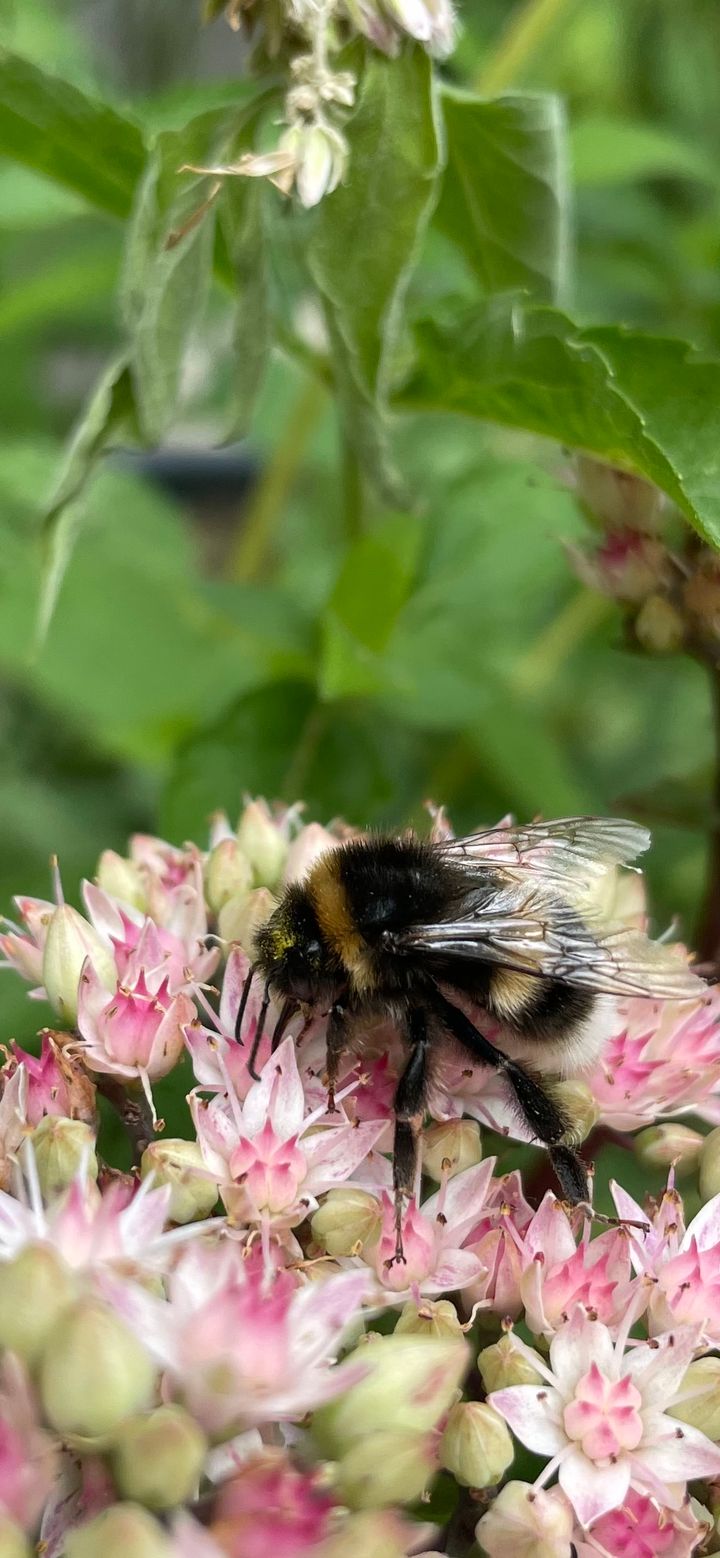 Foto 58 van Goaijengeamieden 5