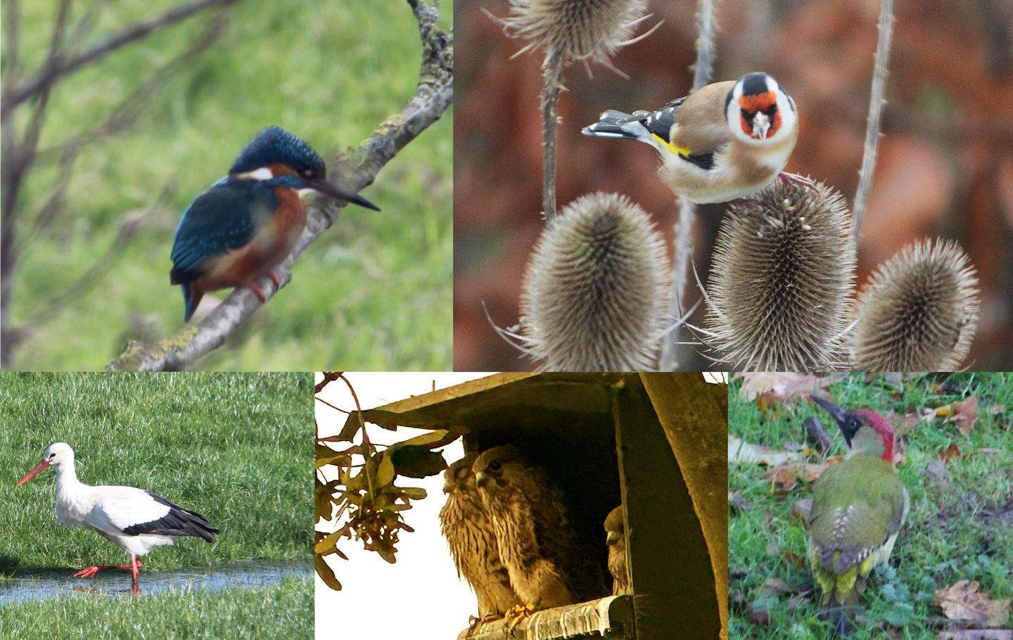 Foto 59 van Goaijengeamieden 5