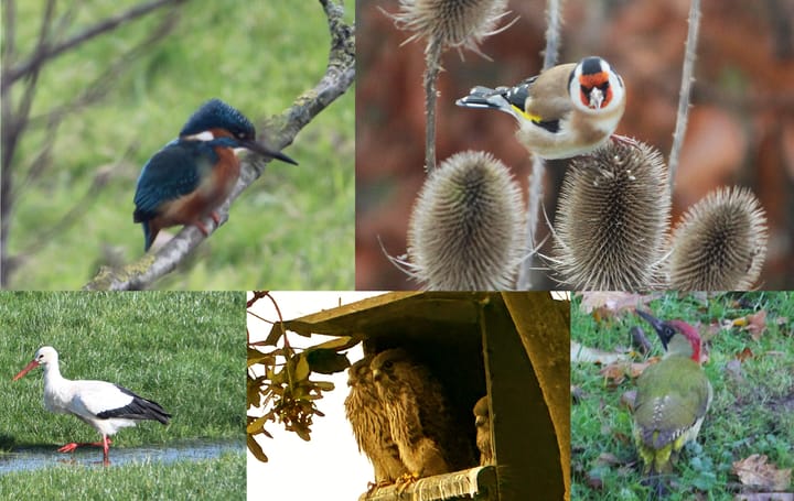 Foto 59 van Goaijengeamieden 5