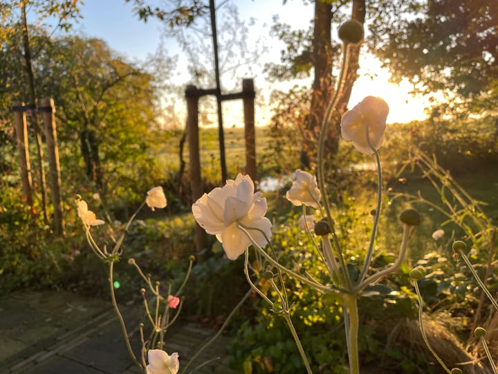 Foto 60 van Goaijengeamieden 5