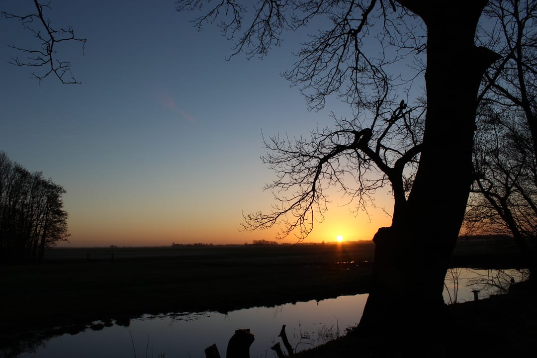 Foto 61 van Goaijengeamieden 5