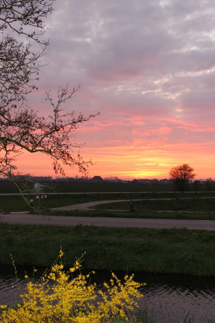 Foto 62 van Goaijengeamieden 5