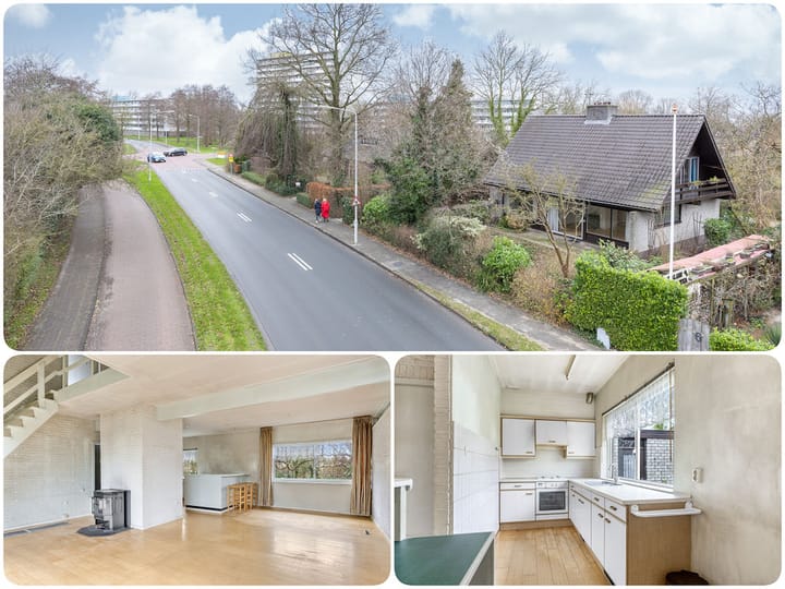 Foto 5 van Groenedijk 4