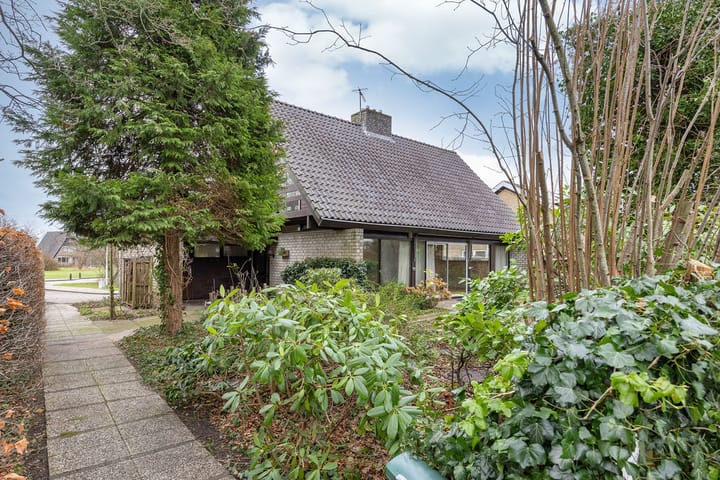 Foto 35 van Groenedijk 4