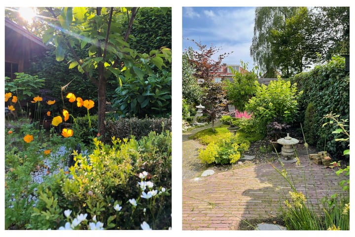 Foto 40 van Bloemstraat 32