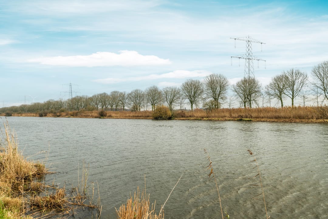 Photo 47 of Guadeloupestraat 101