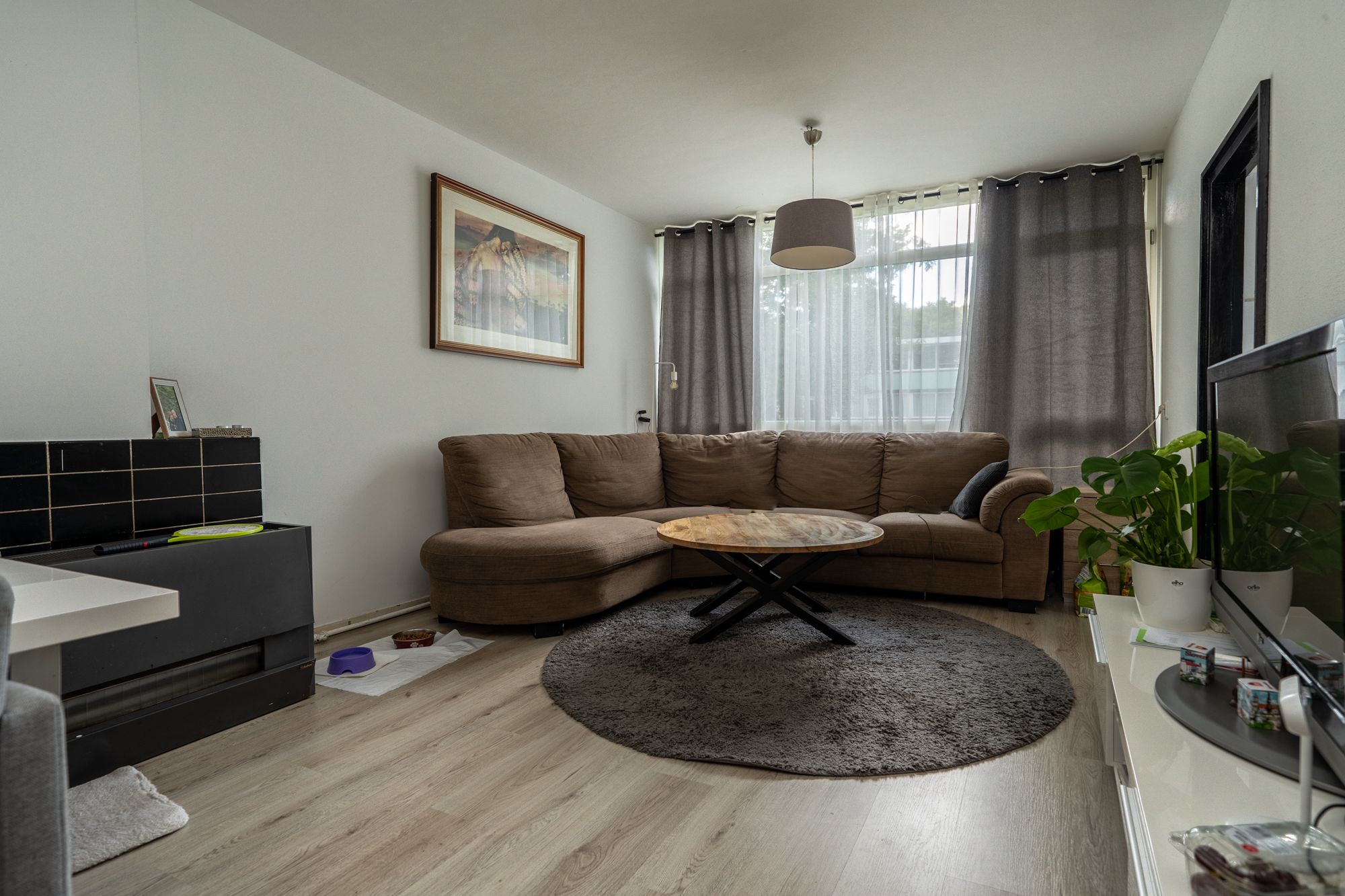 Foto 3 van Haagjesweg 172