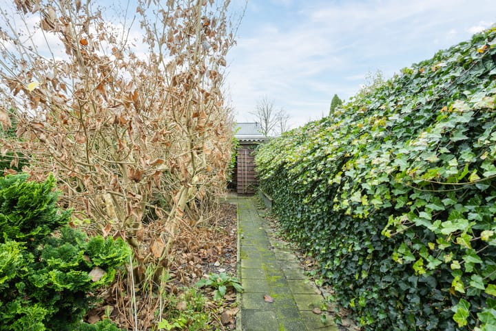 Foto 37 van Johannes Vermeerlaan 14