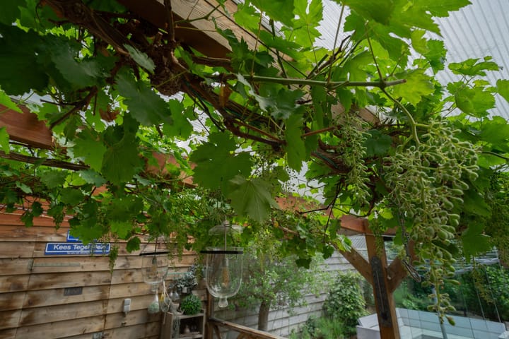 Photo 41 of Hofstraat 97