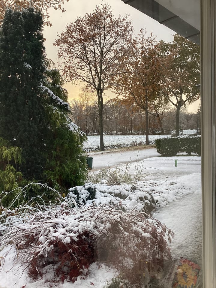 Foto 58 van Aafke van der Heideloane 34