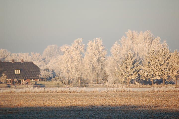 Bekijk foto 55 van Essenhuizerweg 4